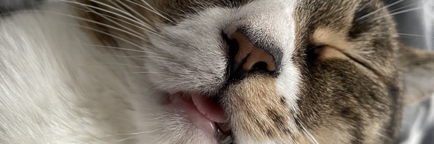 tszmns's profile banner image