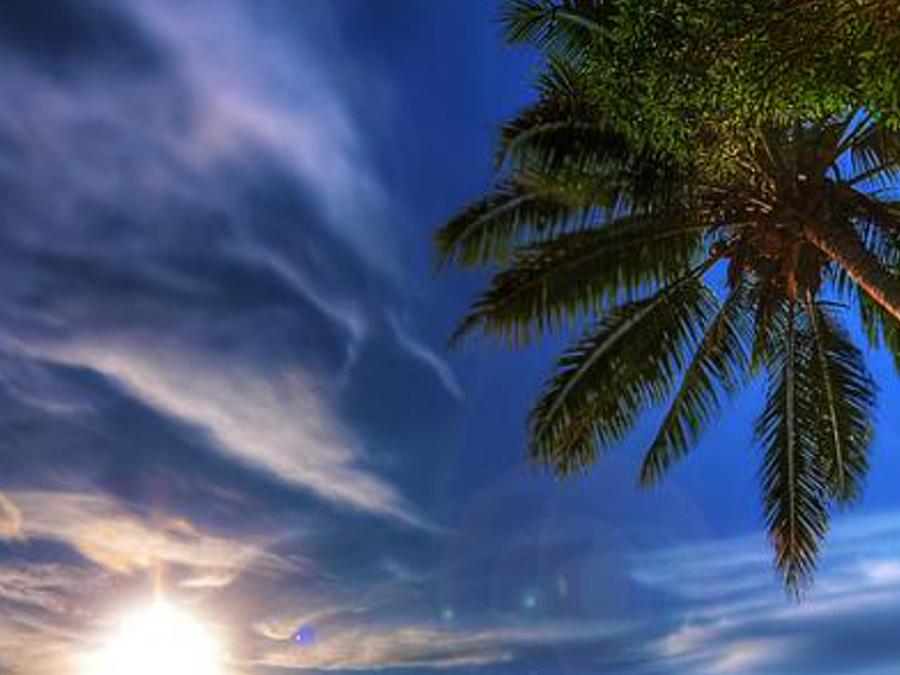 ntestitiftule's profile banner image