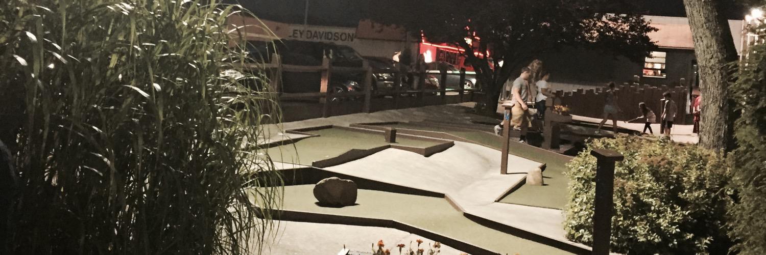 AltoonaMiniGolf's profile banner image
