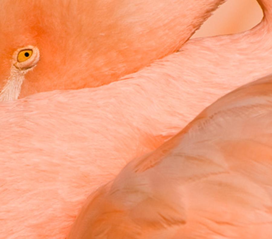 oklount's profile banner image