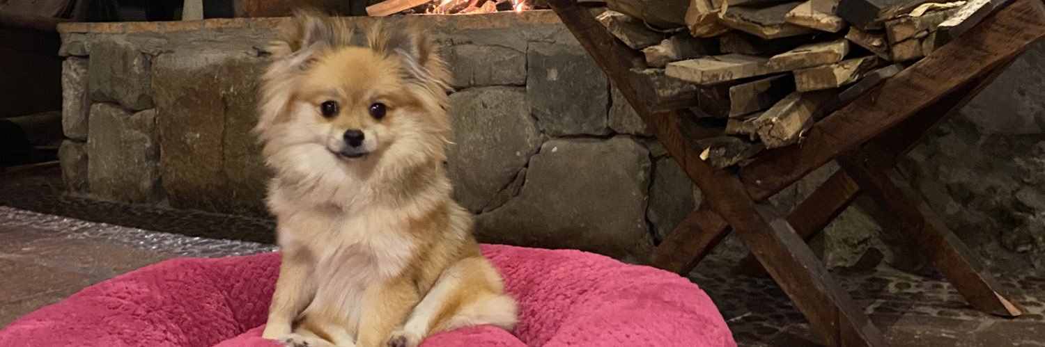 nickysf's profile banner image