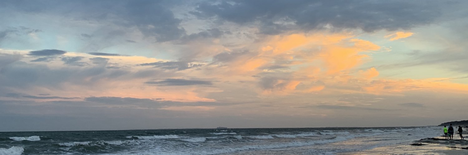 EllieMinick's profile banner image
