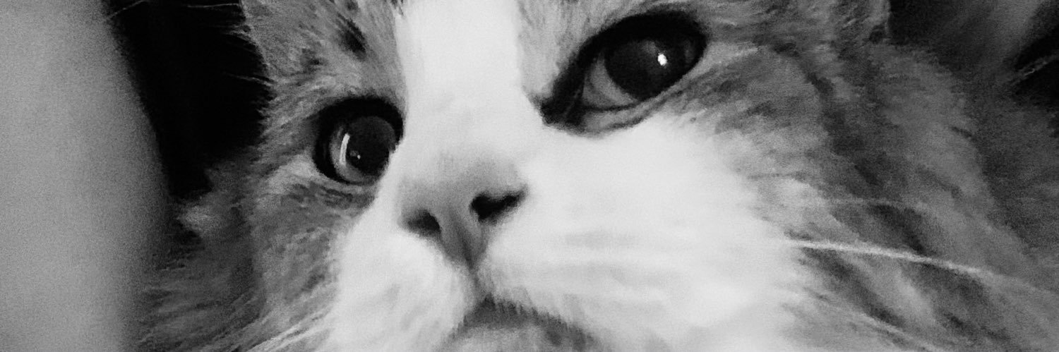 totencat's profile banner image