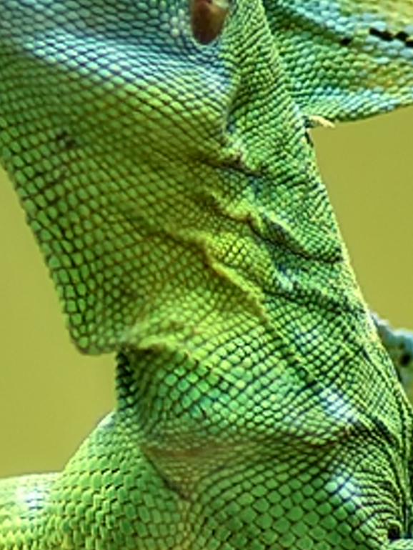 thamestrina's profile banner image