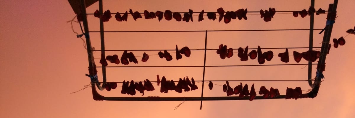 ksknecm's profile banner image