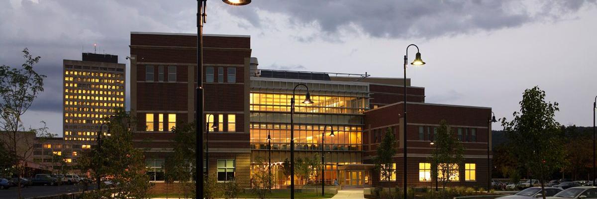 BinghamtonSocialWork banner