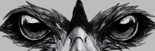 John A. Ferguson Senior High School banner