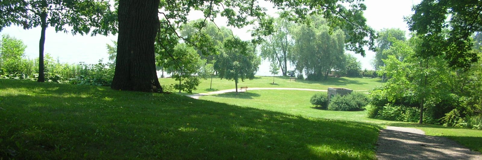 Cathy Duddeck banner