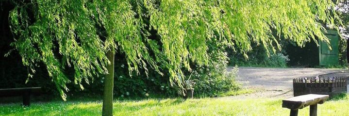 anniaromeroo's profile banner image
