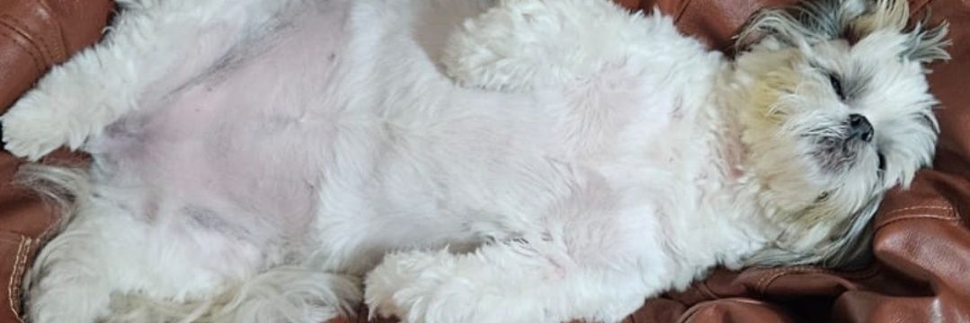 tarsissff's profile banner image
