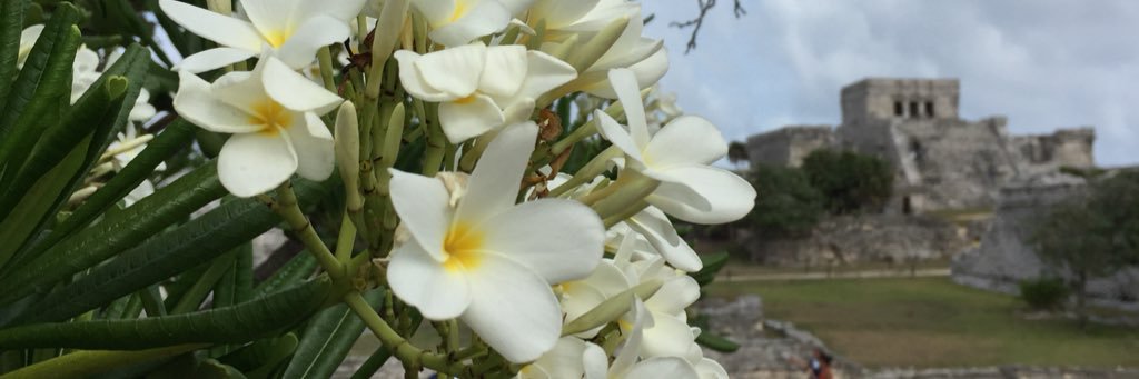 Quinn A Frazier banner