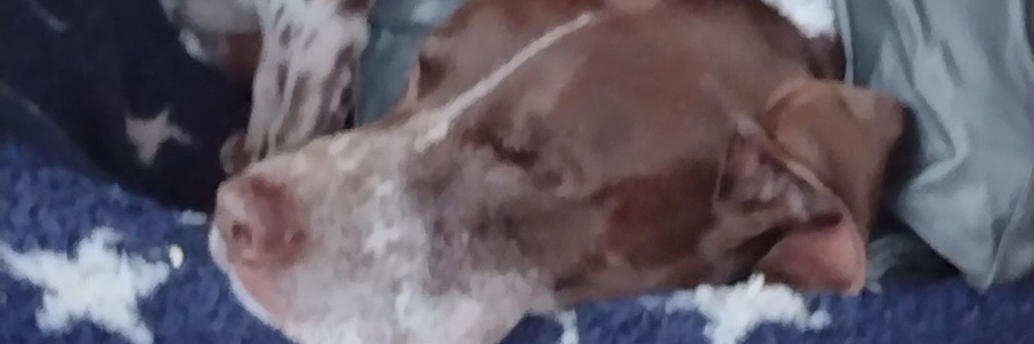 GSP Owner banner