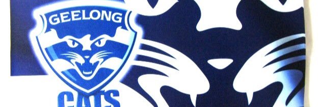 mickycats33's profile banner image