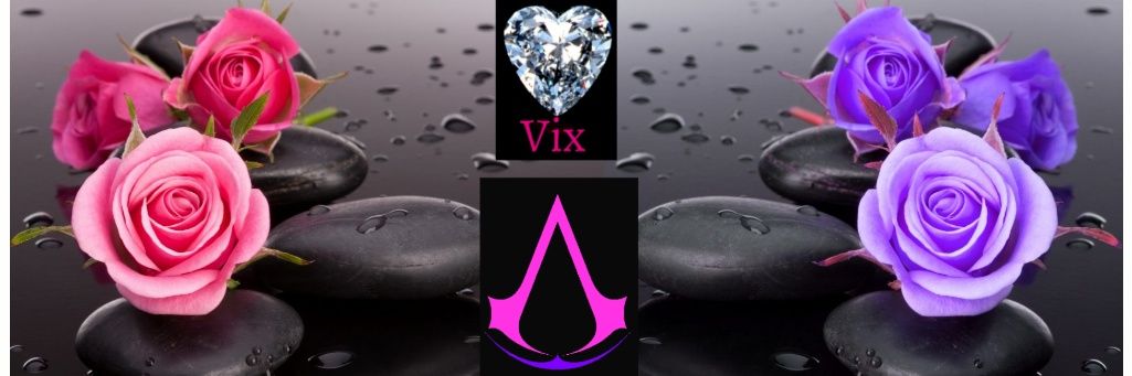 Vix Allan banner