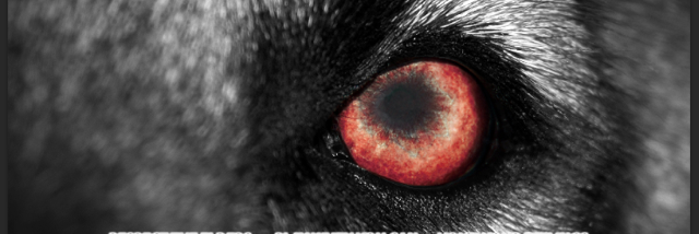 Craig_Rosewarne's profile banner image
