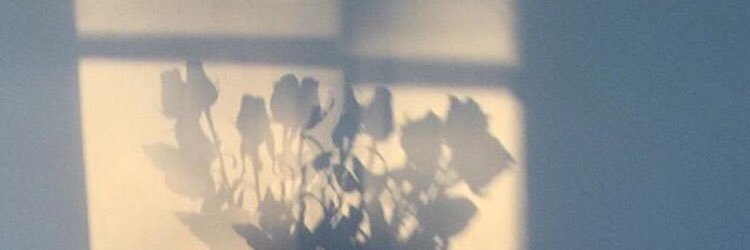 ashly_cats's profile banner image