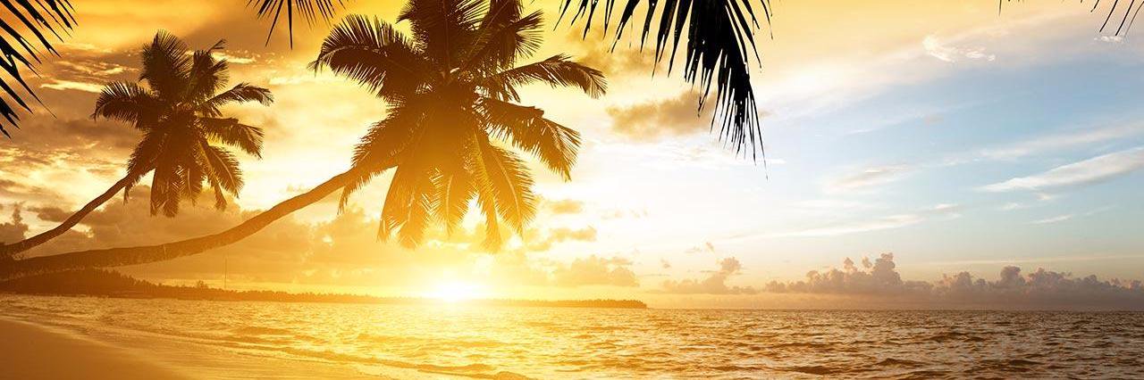 info_bali's profile banner image