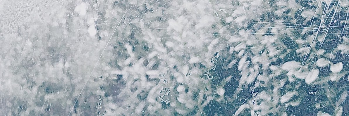 Soon, she said banner