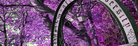 Northwestern Dining banner