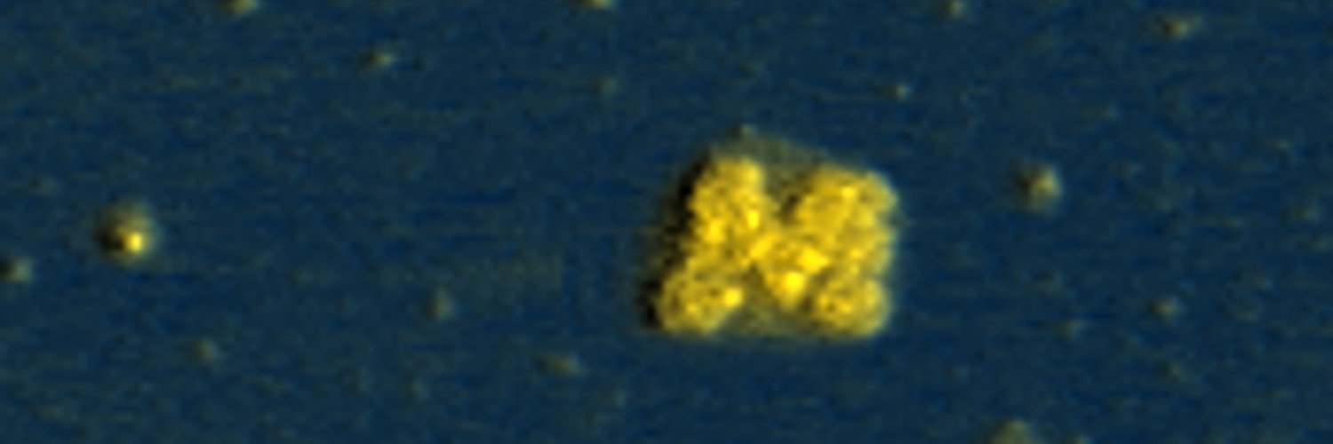 Michigan Biophysics's banner