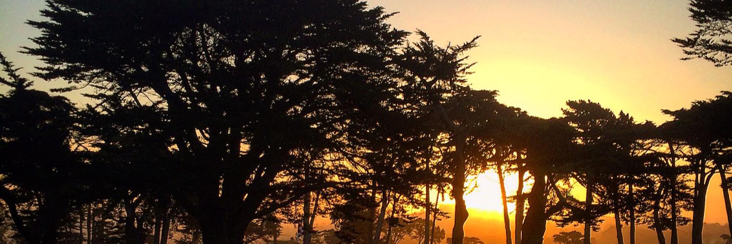 tannerman33's profile banner image
