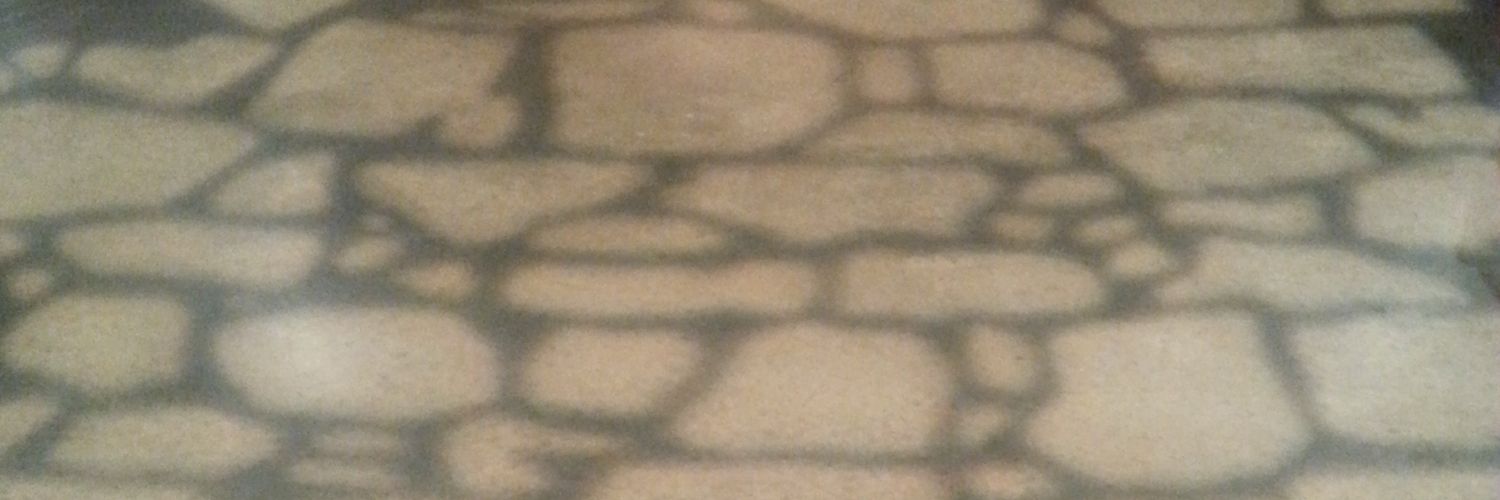 saltandvice's profile banner image