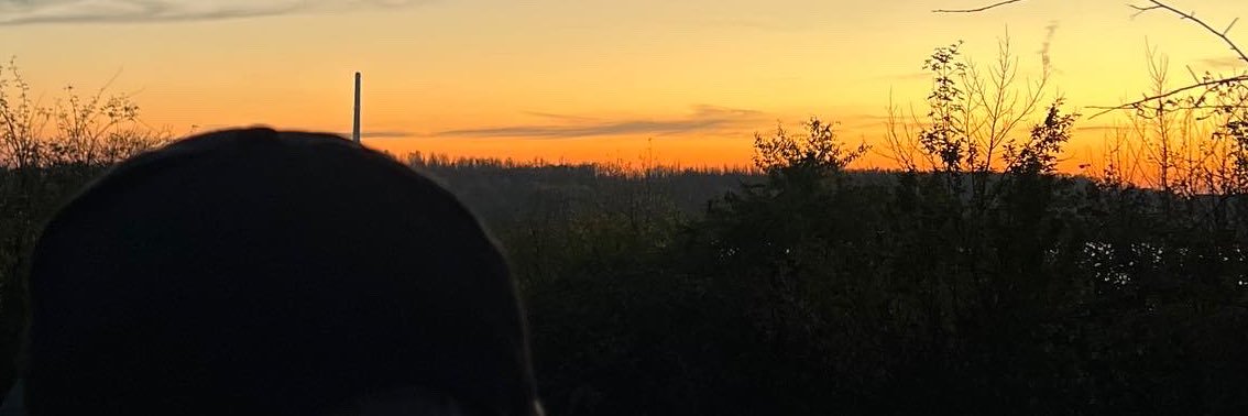 nosiize's profile banner image