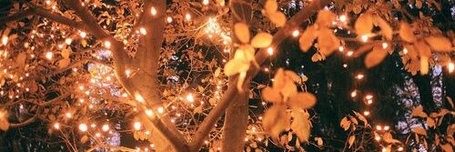 ChioMnr's profile banner image
