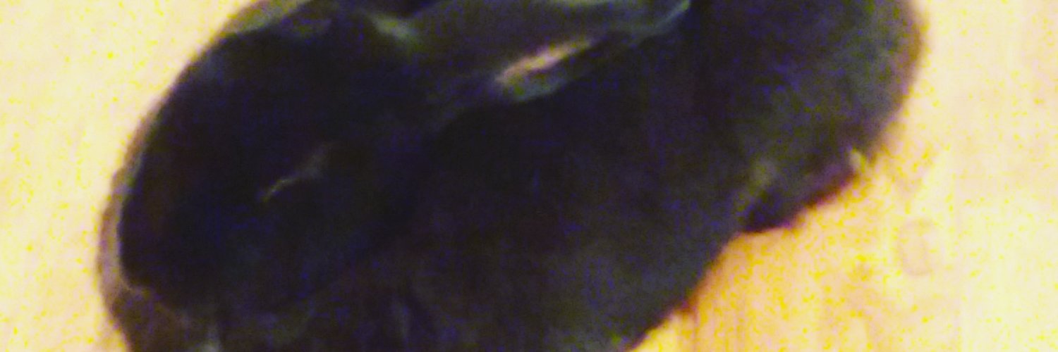 D3sertGh0st's profile banner image