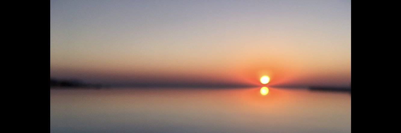 Stephen Devonport banner