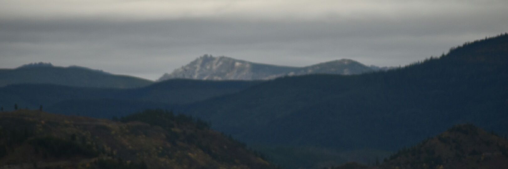 DanCarpenterJr's profile banner image