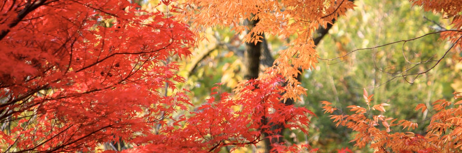 JessiSmith1024's profile banner image