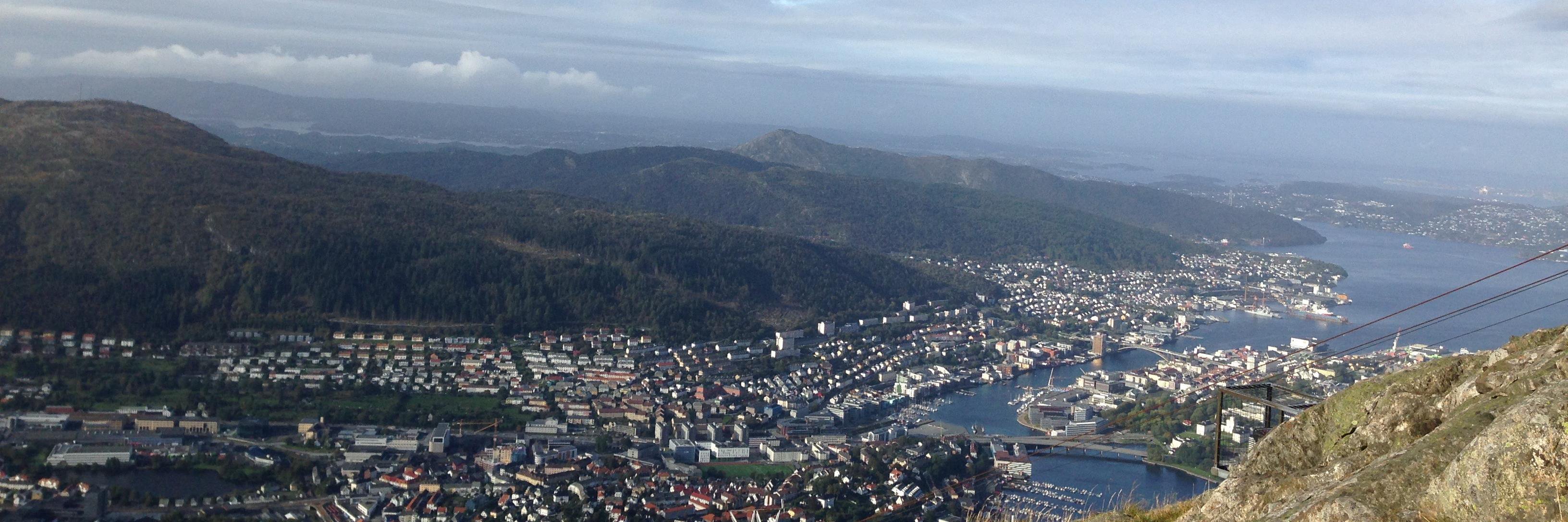 Michael Axenrod banner