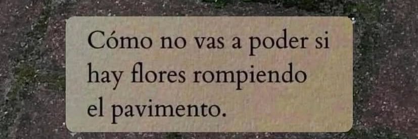 Inés Brizuela y Doria banner