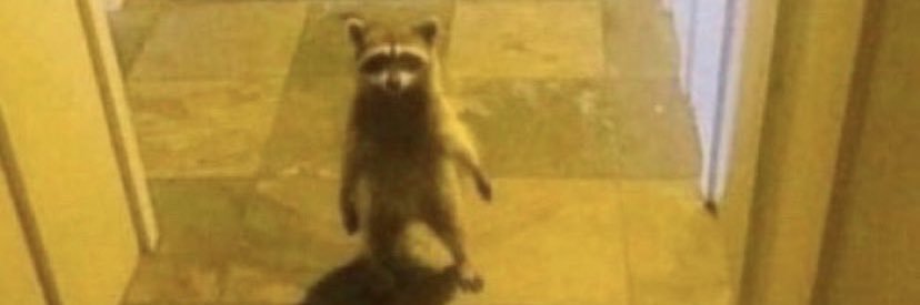 TheCudders's profile banner image