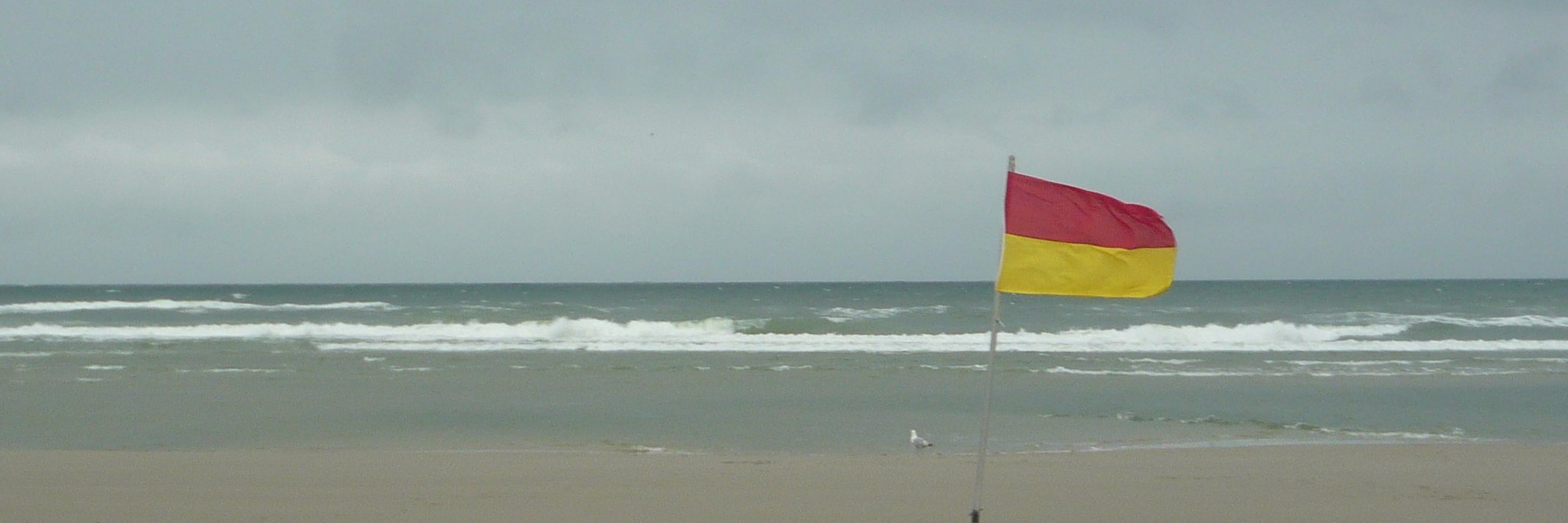 SaskiadeJongeG's profile banner image