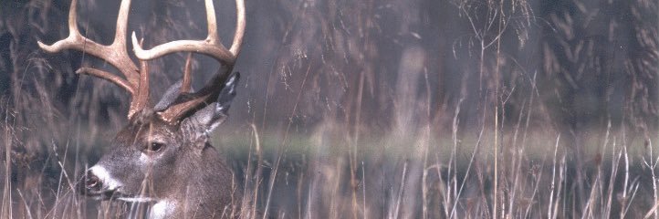MS Wildlife Fed banner