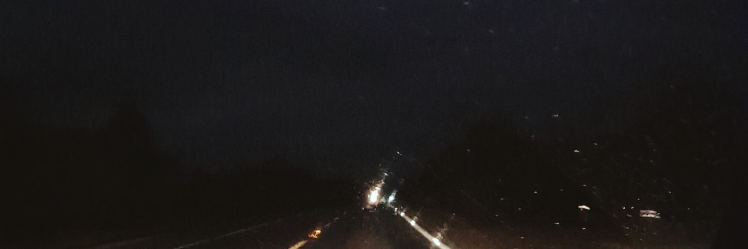 lu_mchado's profile banner image