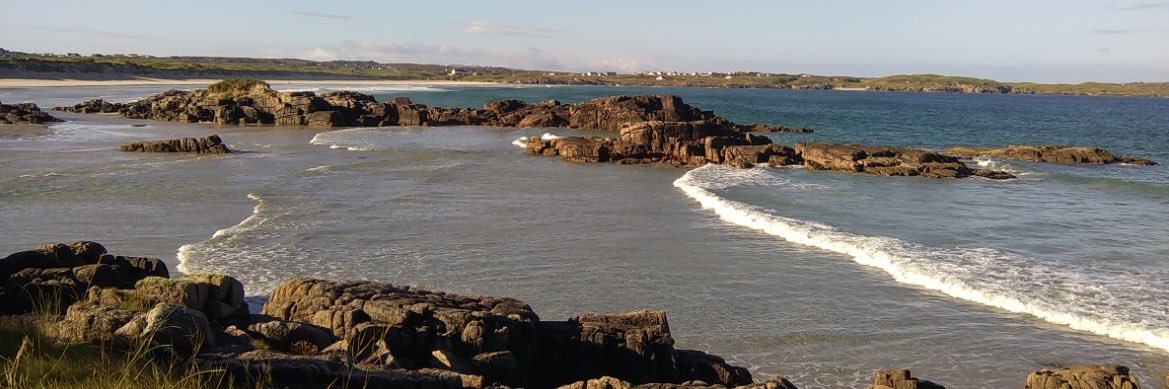 Annette Sweeney banner