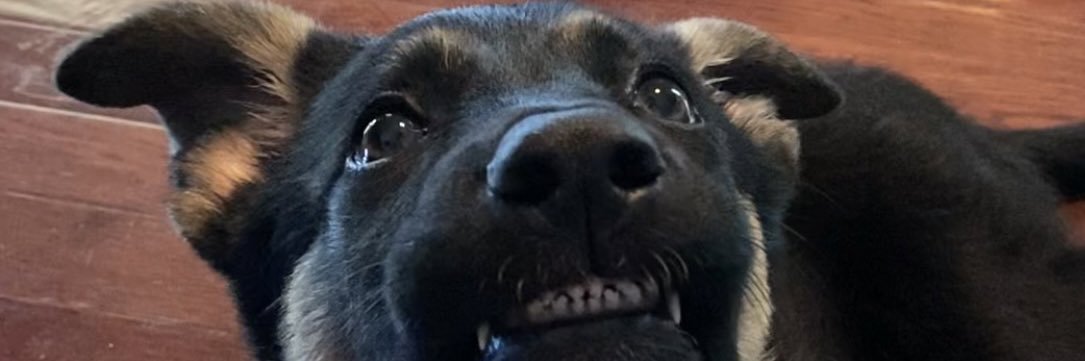 EmilySae's profile banner image