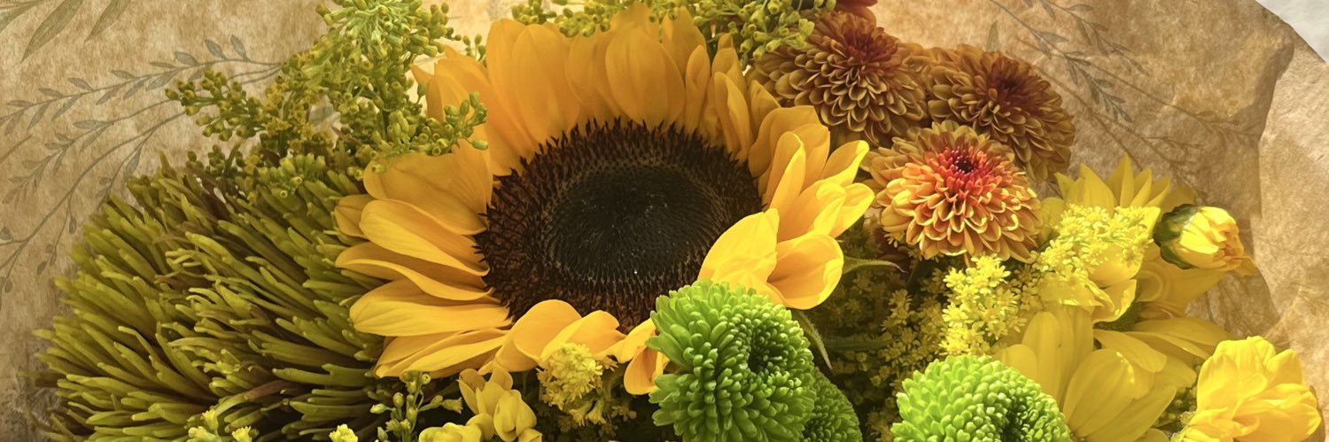 Luaa_bj's profile banner image