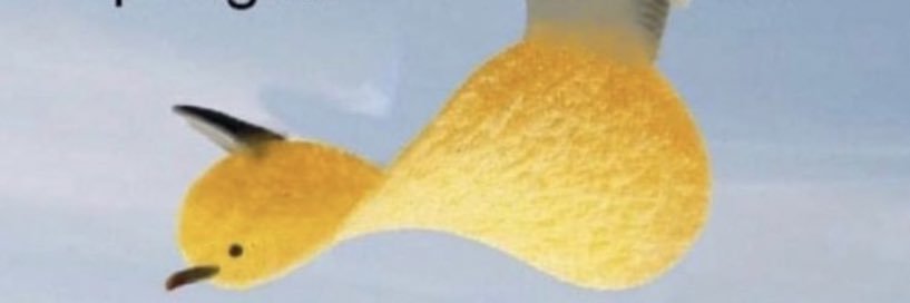 Tyler banner