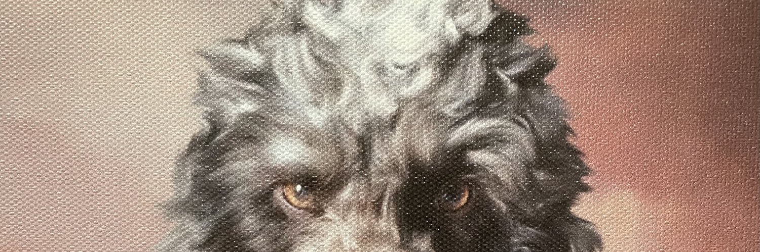 gillycow's profile banner image