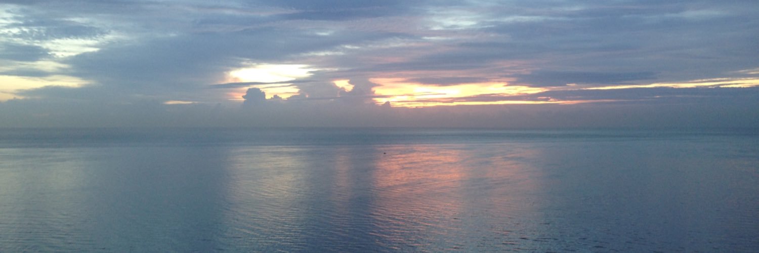 EdMcCoyKY's profile banner image