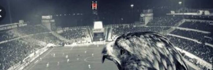 sariabdullahogl's profile banner image