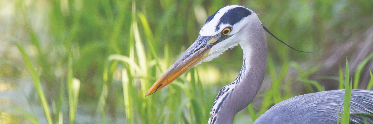 Iowa Natural Heritage Foundation banner