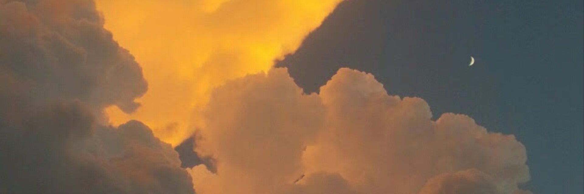 MeeeryFdz's profile banner image