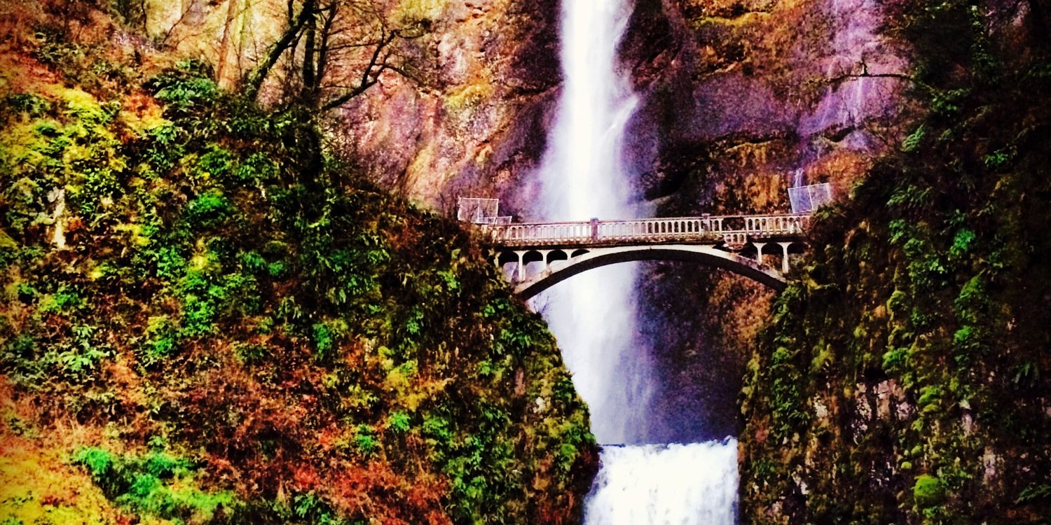 melissahl's profile banner image