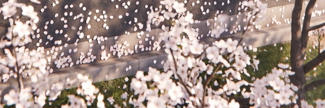 __ainaat's profile banner image