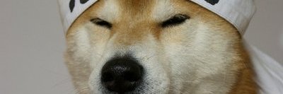 Mike_japa banner